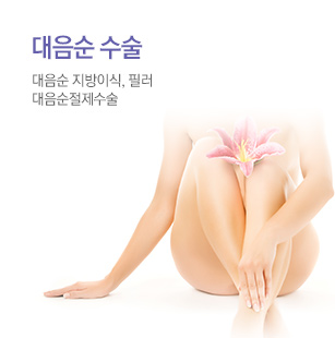 대음순수술