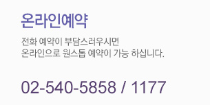 온라인예약 02-540-5858